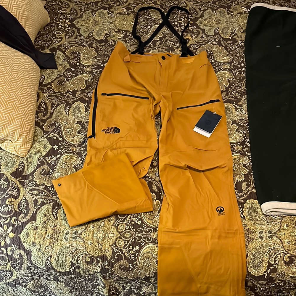 The north face FreeThinker pant
